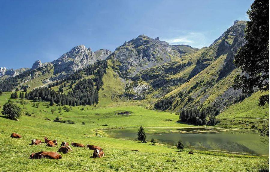 Hotel Les Aravis Saint-Jean-de-Sixt Ngoại thất bức ảnh