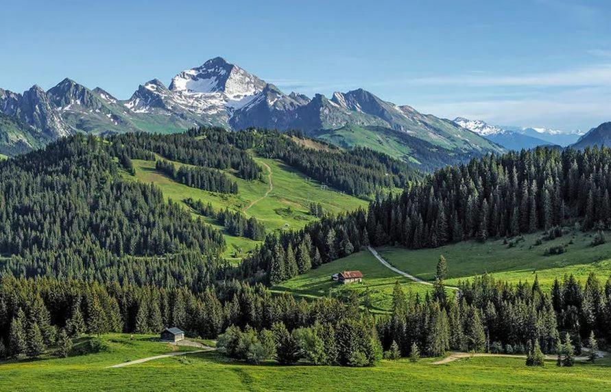 Hotel Les Aravis Saint-Jean-de-Sixt Ngoại thất bức ảnh